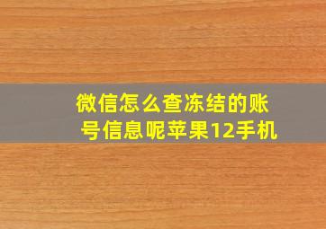 微信怎么查冻结的账号信息呢苹果12手机