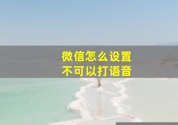 微信怎么设置不可以打语音