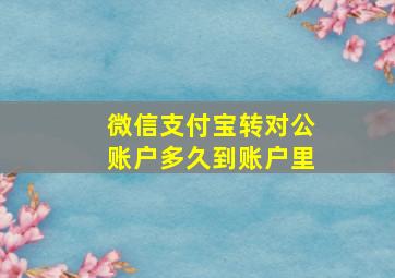 微信支付宝转对公账户多久到账户里