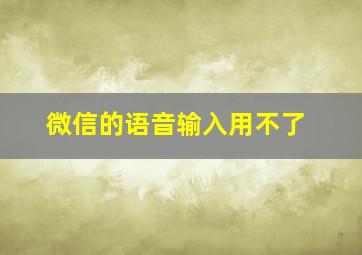 微信的语音输入用不了