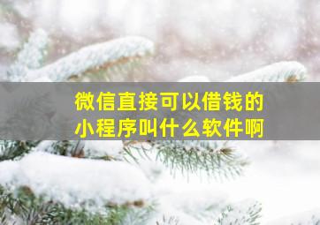 微信直接可以借钱的小程序叫什么软件啊