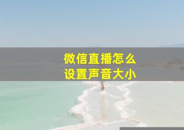 微信直播怎么设置声音大小