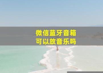 微信蓝牙音箱可以放音乐吗