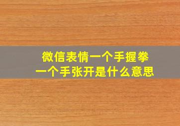 微信表情一个手握拳一个手张开是什么意思