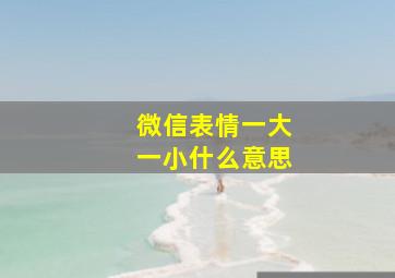 微信表情一大一小什么意思