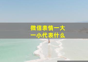 微信表情一大一小代表什么