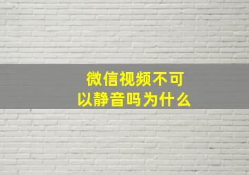 微信视频不可以静音吗为什么