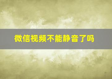 微信视频不能静音了吗