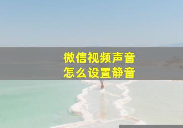 微信视频声音怎么设置静音