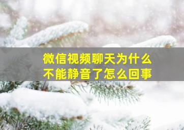 微信视频聊天为什么不能静音了怎么回事