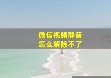 微信视频静音怎么解除不了