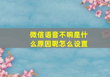 微信语音不响是什么原因呢怎么设置