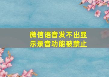 微信语音发不出显示录音功能被禁止