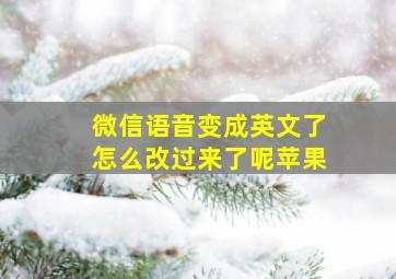 微信语音变成英文了怎么改过来了呢苹果