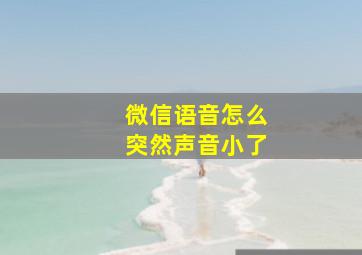 微信语音怎么突然声音小了