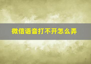 微信语音打不开怎么弄