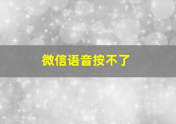 微信语音按不了