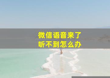 微信语音来了听不到怎么办