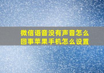 微信语音没有声音怎么回事苹果手机怎么设置