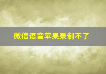 微信语音苹果录制不了