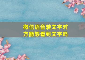 微信语音转文字对方能够看到文字吗