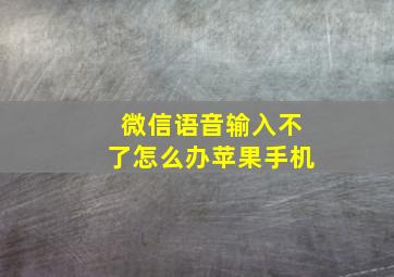 微信语音输入不了怎么办苹果手机