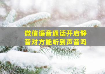 微信语音通话开启静音对方能听到声音吗