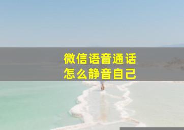 微信语音通话怎么静音自己