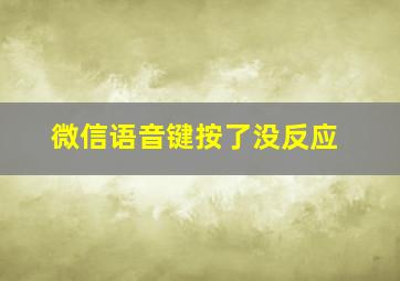 微信语音键按了没反应