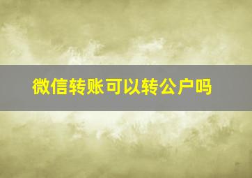 微信转账可以转公户吗