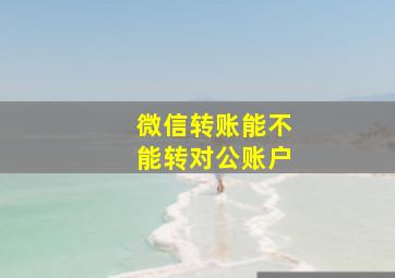 微信转账能不能转对公账户