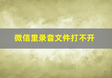 微信里录音文件打不开