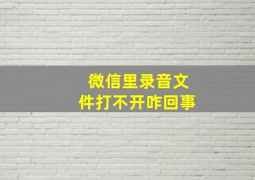 微信里录音文件打不开咋回事