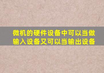 微机的硬件设备中可以当做输入设备又可以当输出设备