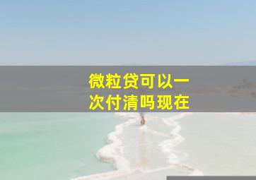 微粒贷可以一次付清吗现在