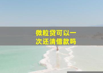 微粒贷可以一次还清借款吗