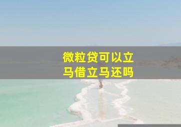 微粒贷可以立马借立马还吗