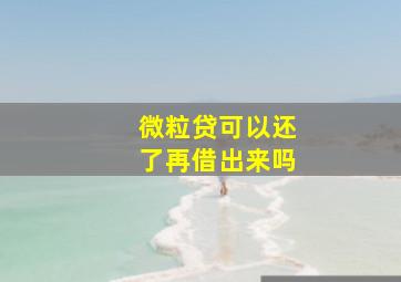 微粒贷可以还了再借出来吗