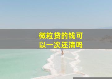 微粒贷的钱可以一次还清吗