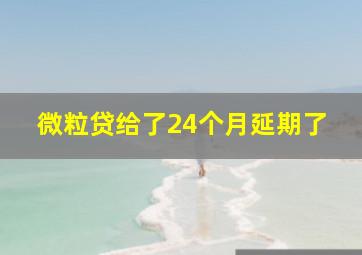 微粒贷给了24个月延期了