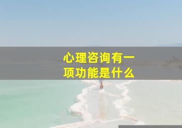 心理咨询有一项功能是什么