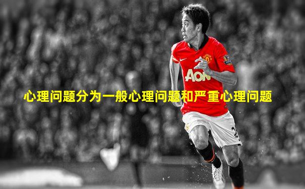 心理问题分为一般心理问题和严重心理问题