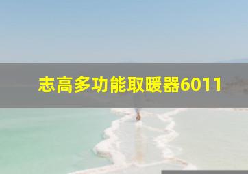 志高多功能取暖器6011