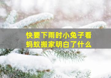 快要下雨时小兔子看蚂蚁搬家明白了什么