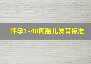 怀孕1-40周胎儿发育标准