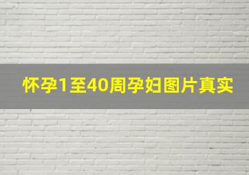 怀孕1至40周孕妇图片真实