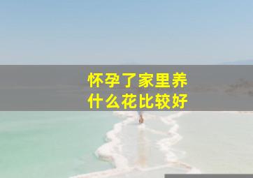 怀孕了家里养什么花比较好