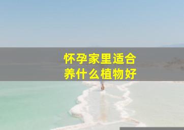 怀孕家里适合养什么植物好