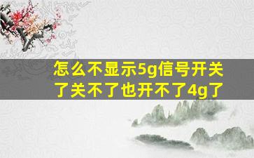 怎么不显示5g信号开关了关不了也开不了4g了