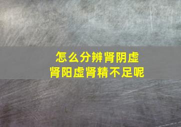 怎么分辨肾阴虚肾阳虚肾精不足呢